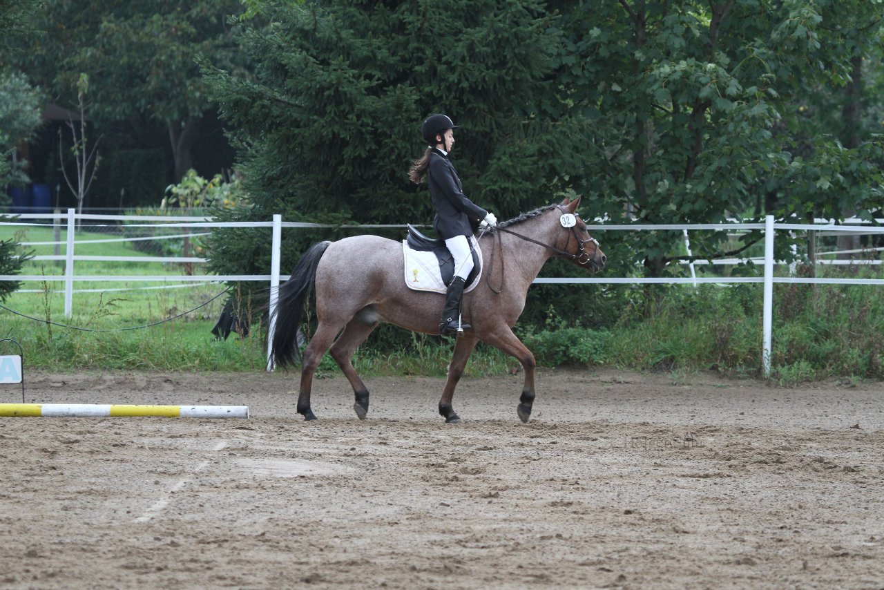 Bild 250 - WBO-Turnier am 18.9.11